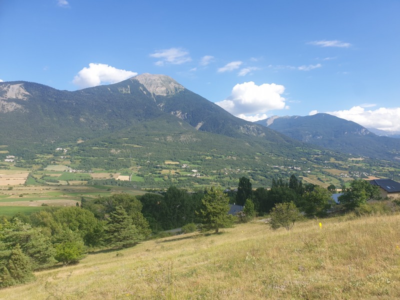 Terrain