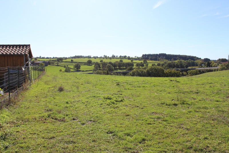 Terrain