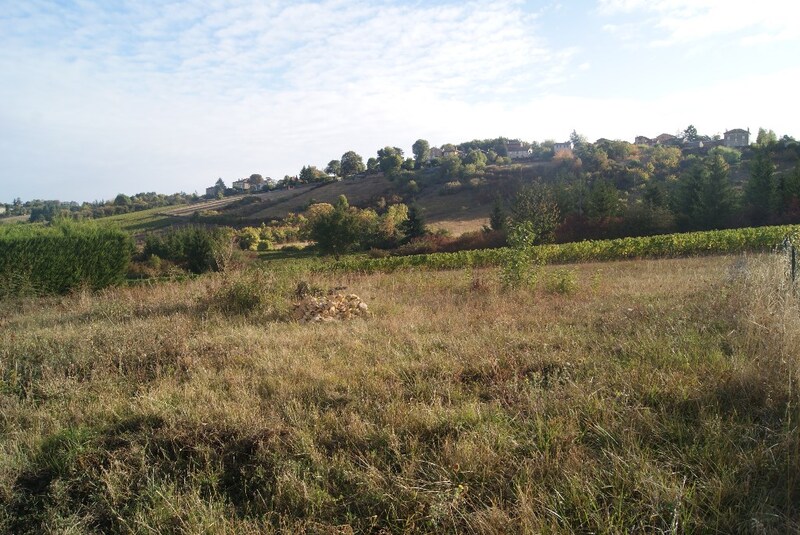 Terrain