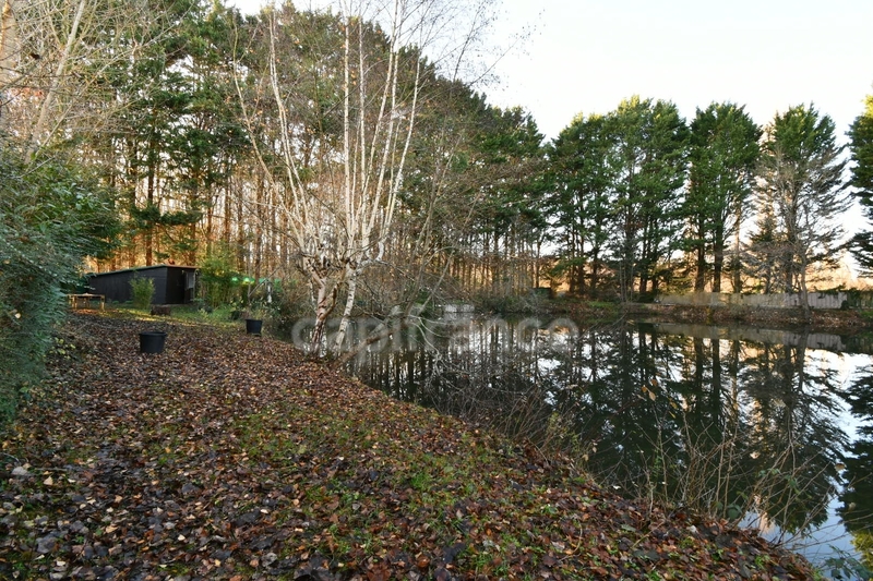Terrain