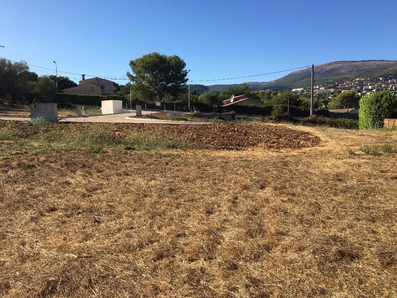 Terrain