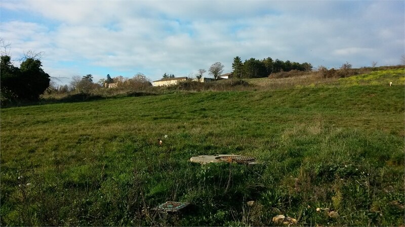 Terrain