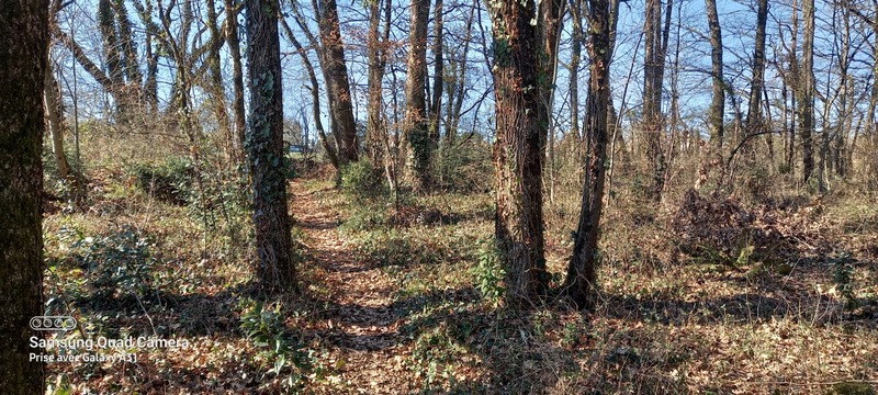 Terrain