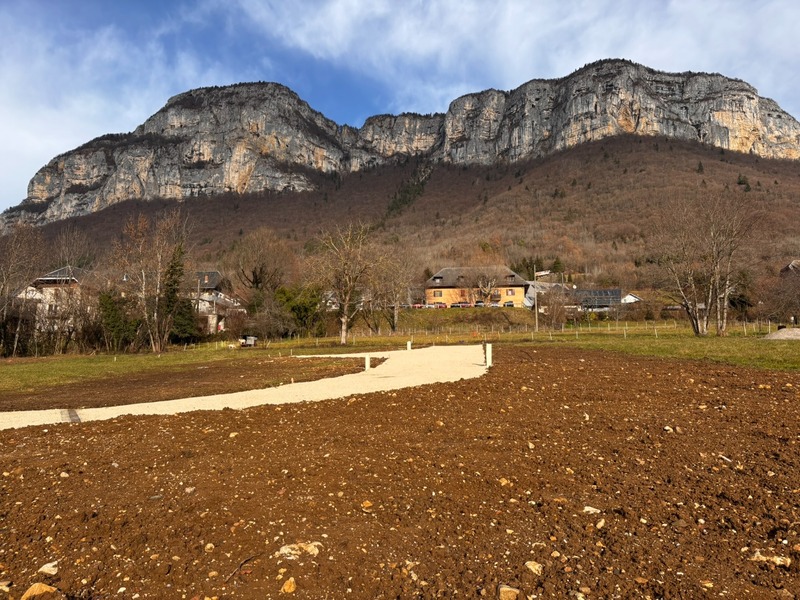 Terrain