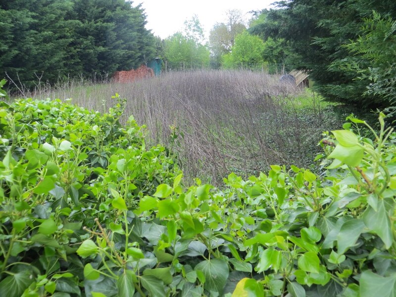 Terrain