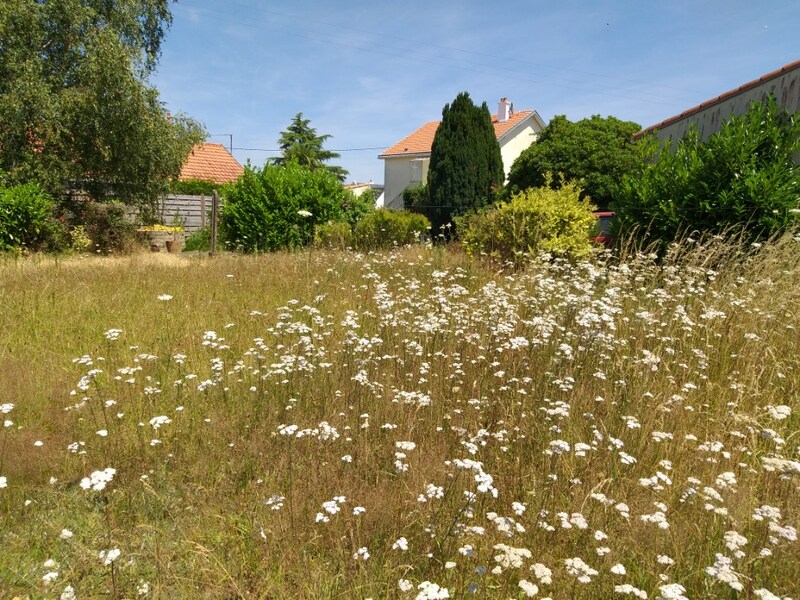 Terrain