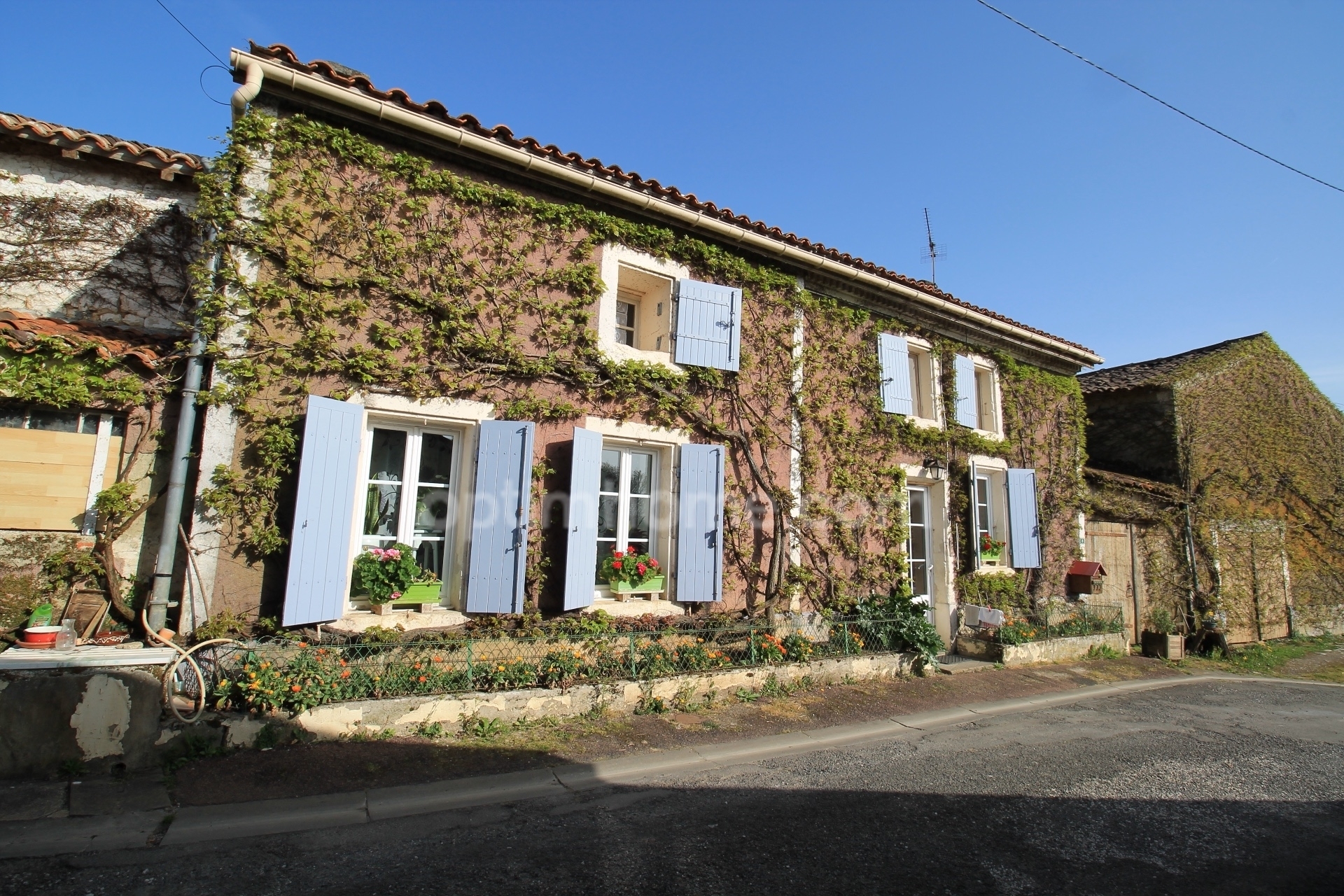Maison