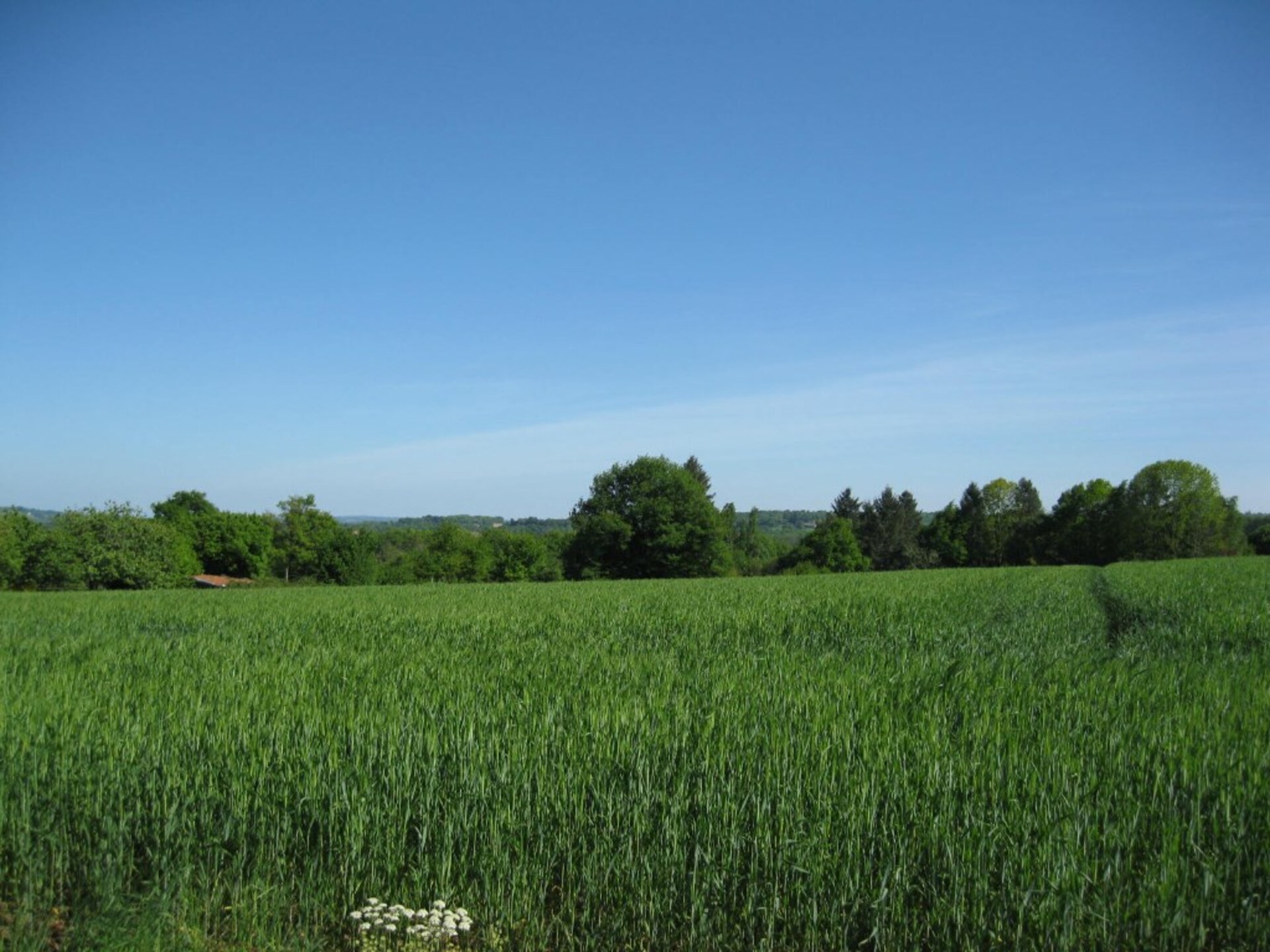 Terrain