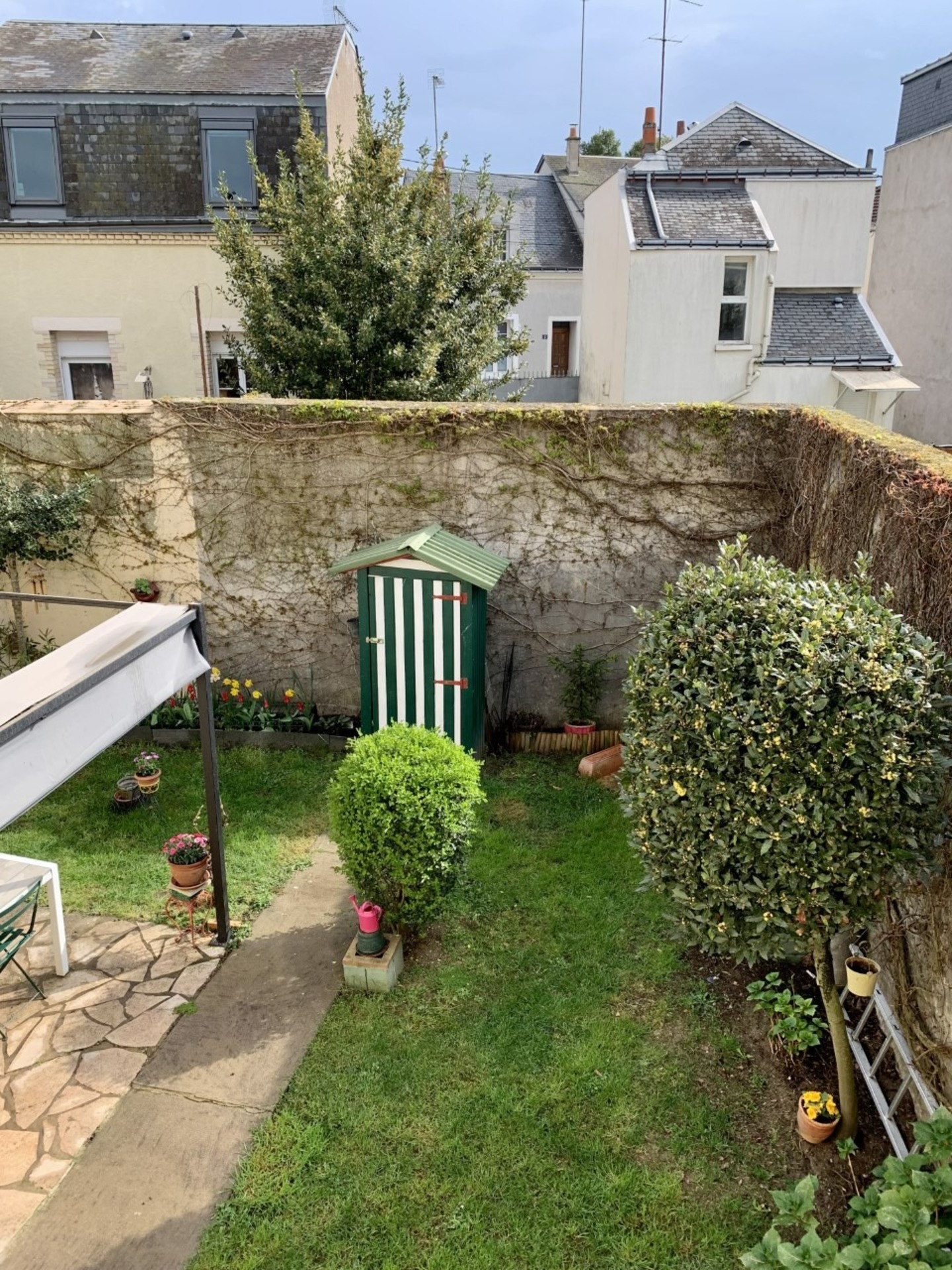 Maison