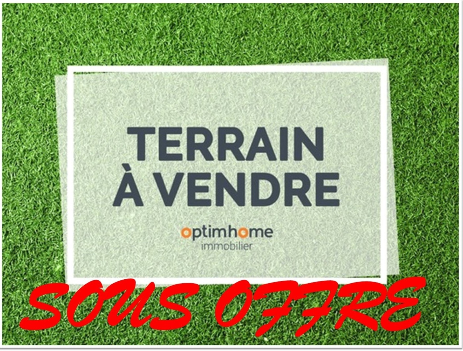 Terrain