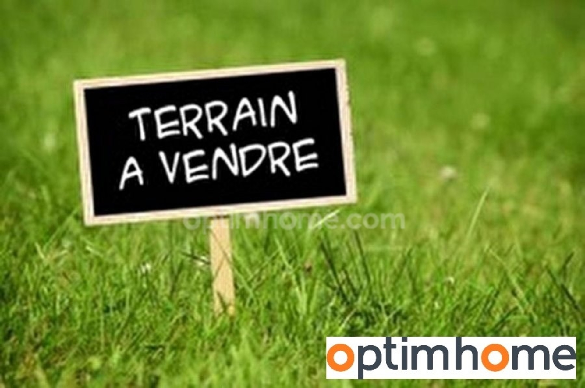 Terrain