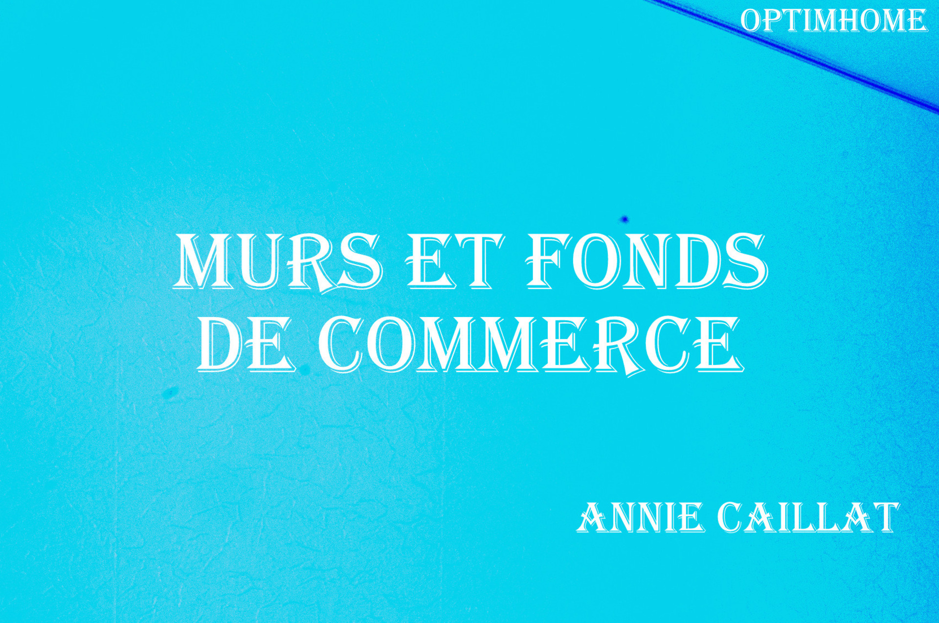 Fonds de commerce