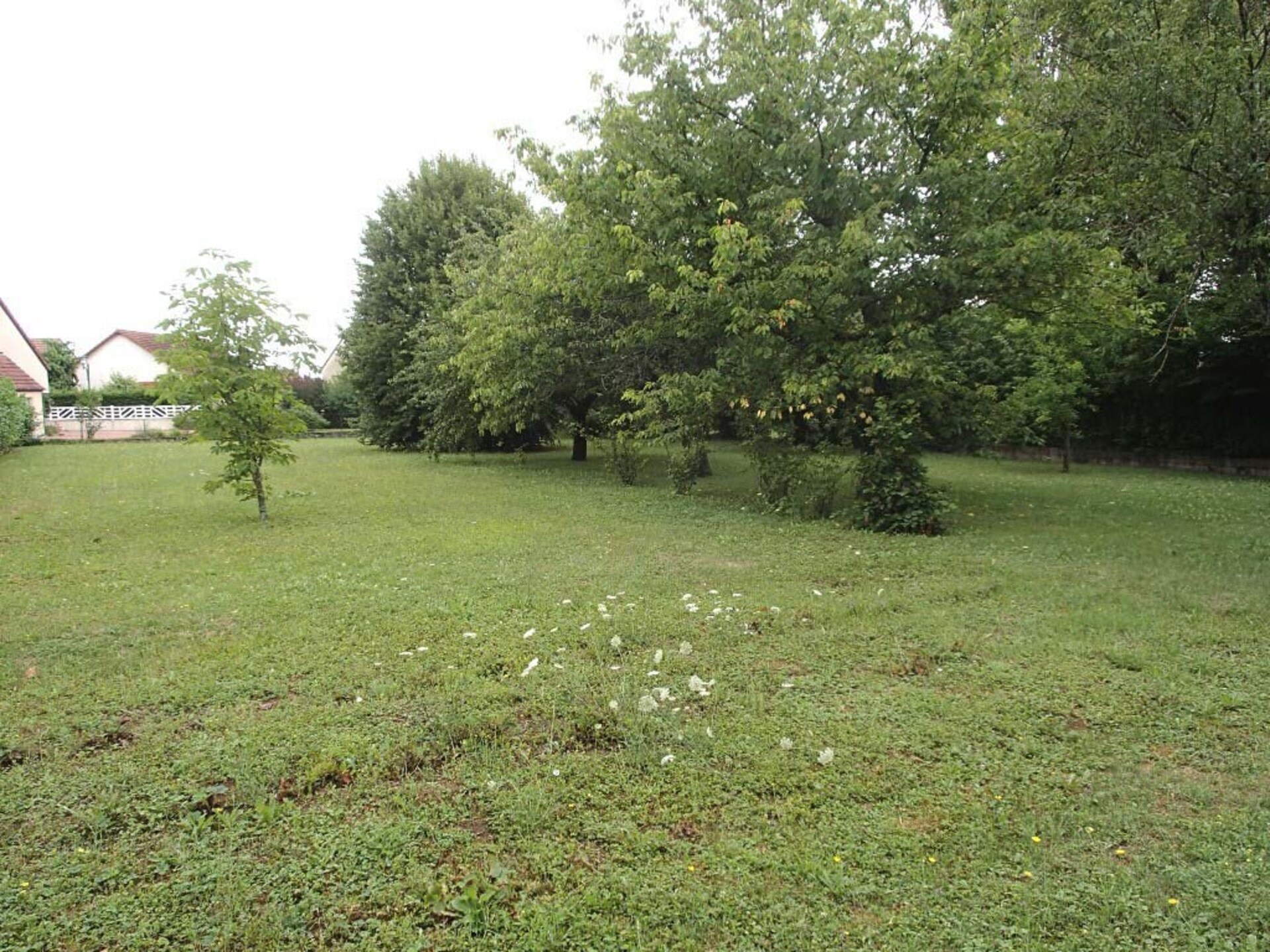 Terrain