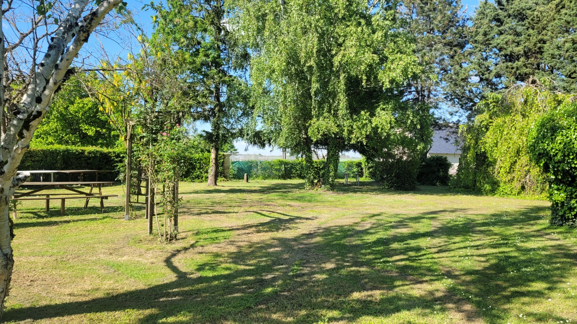Terrain