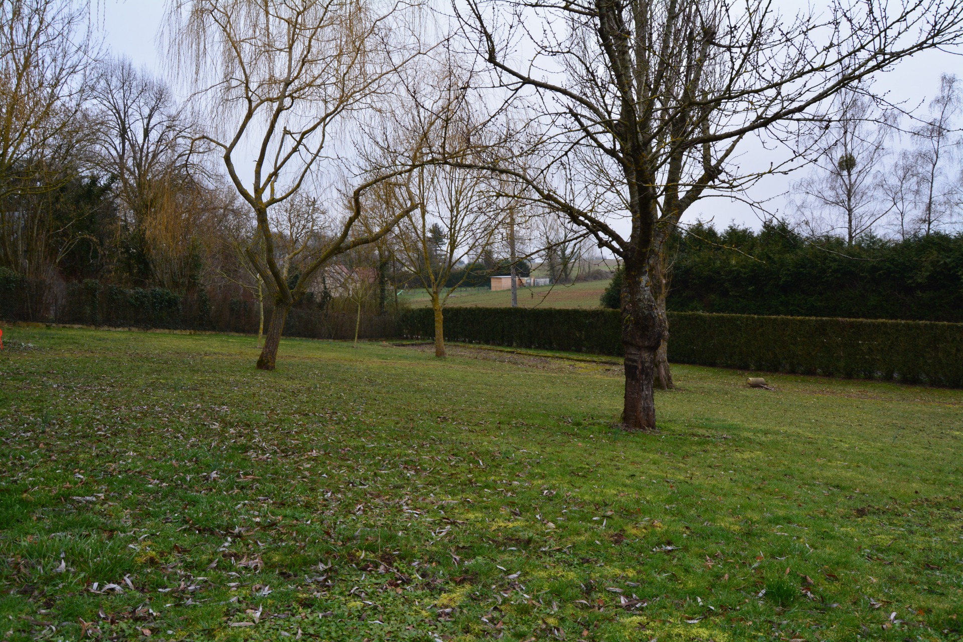 Terrain