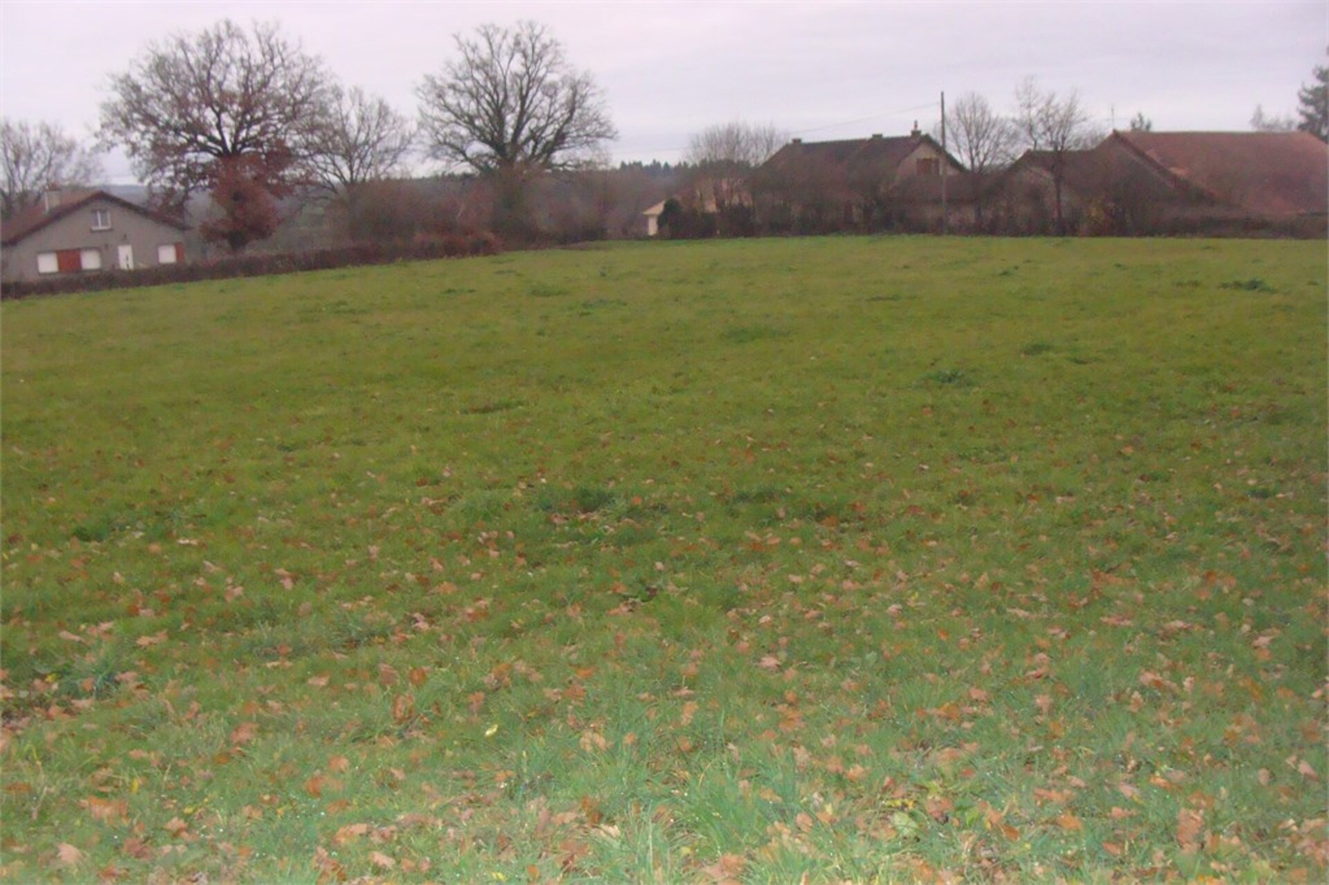 Terrain