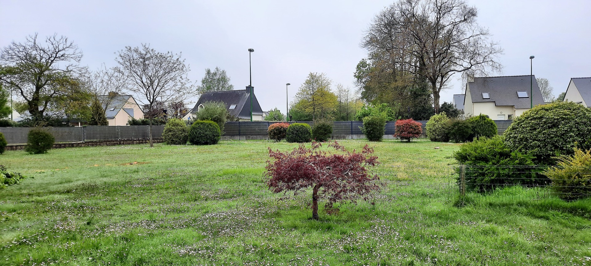 Terrain