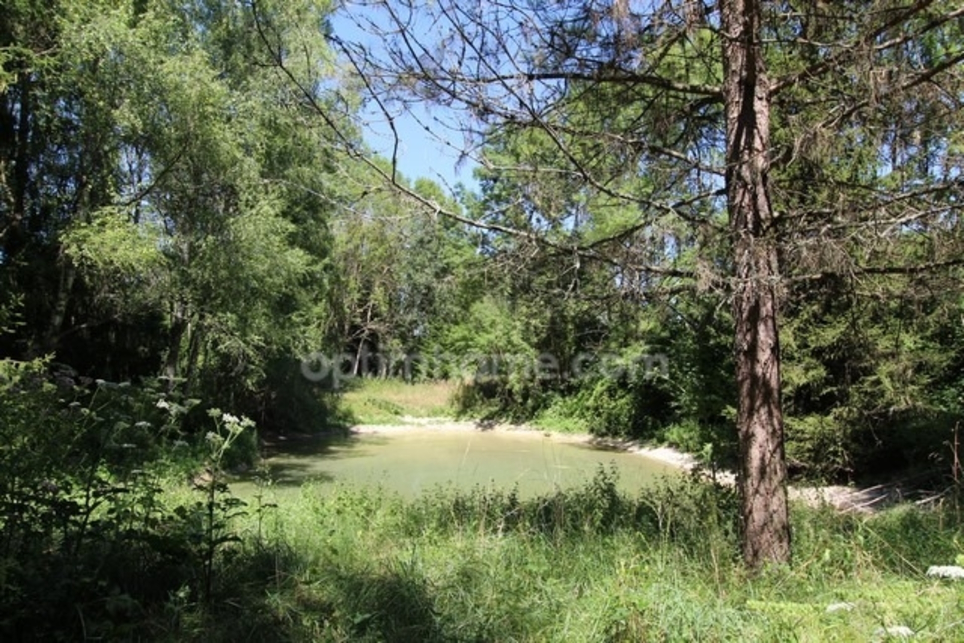 Terrain