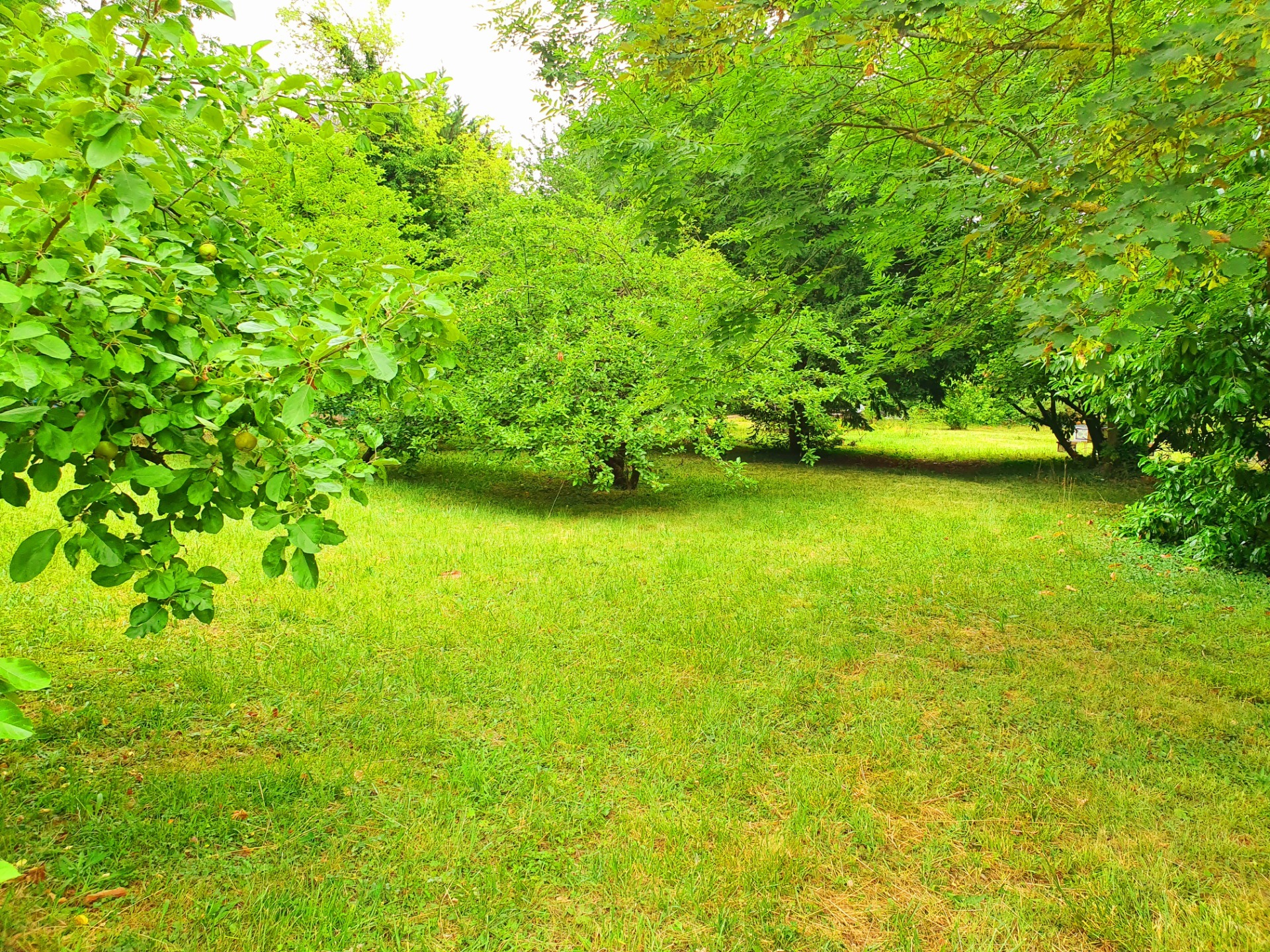 Terrain