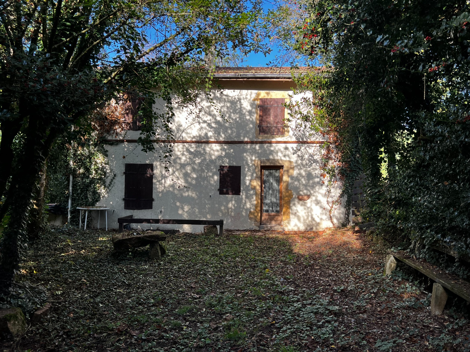 Maison