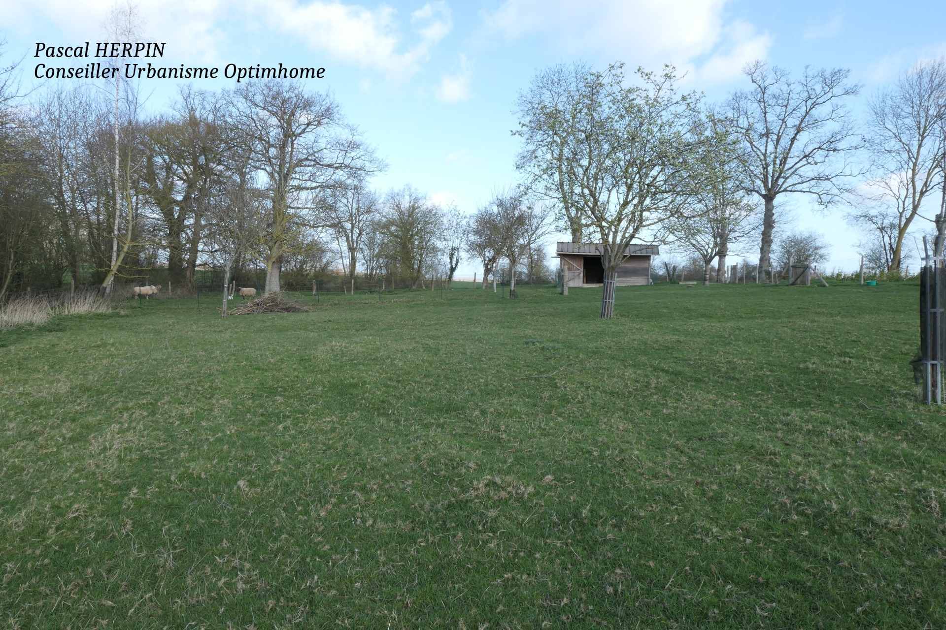 Terrain