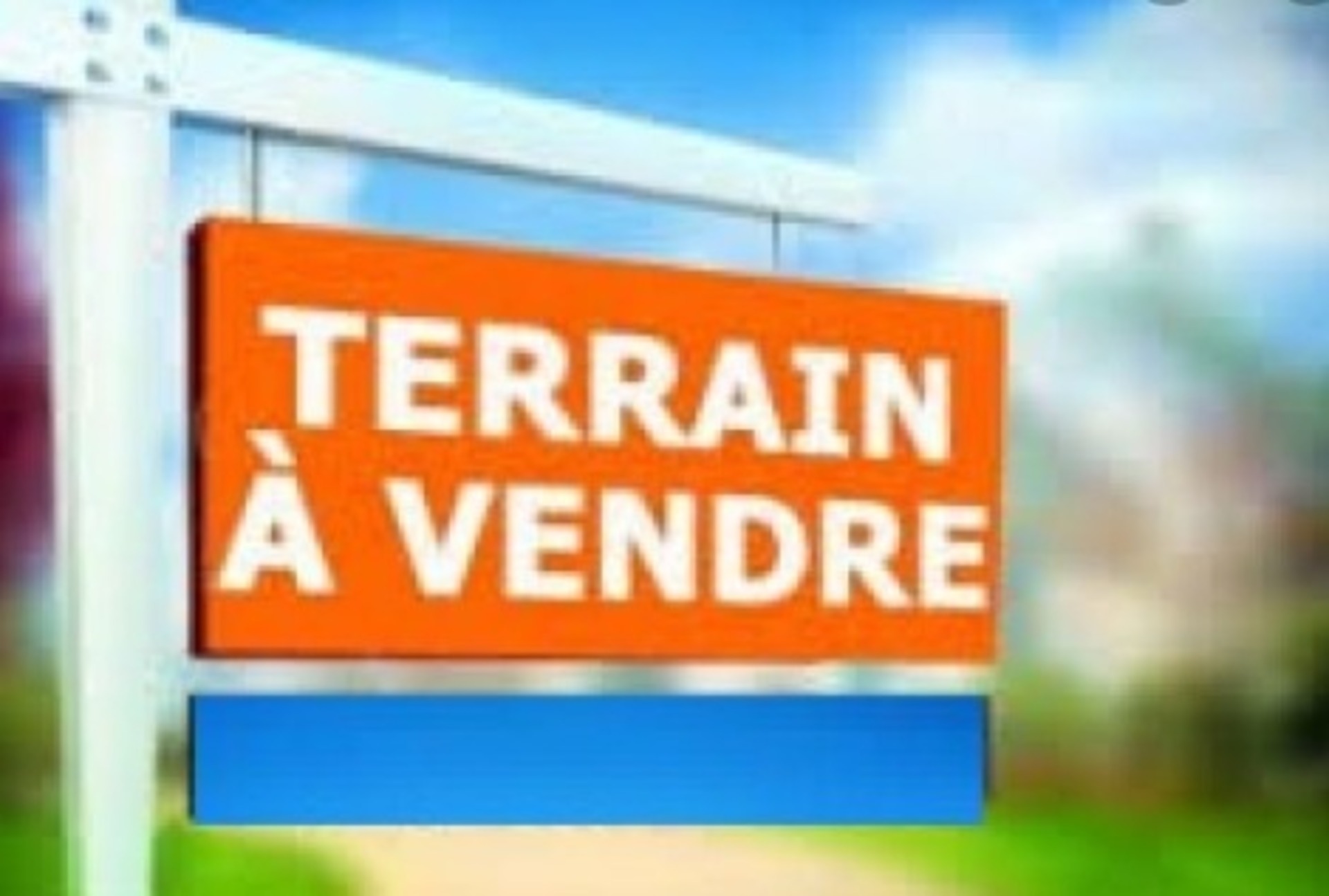 Terrain