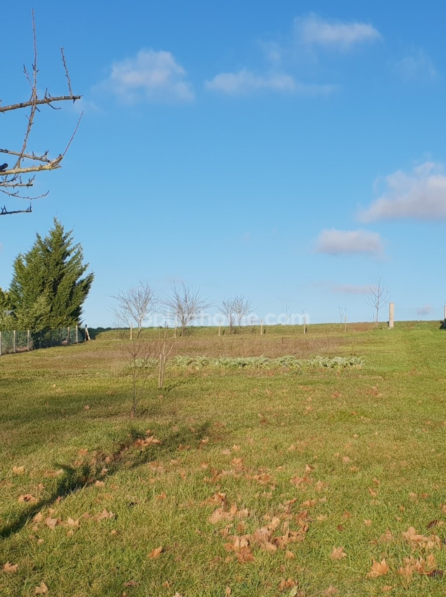 Terrain