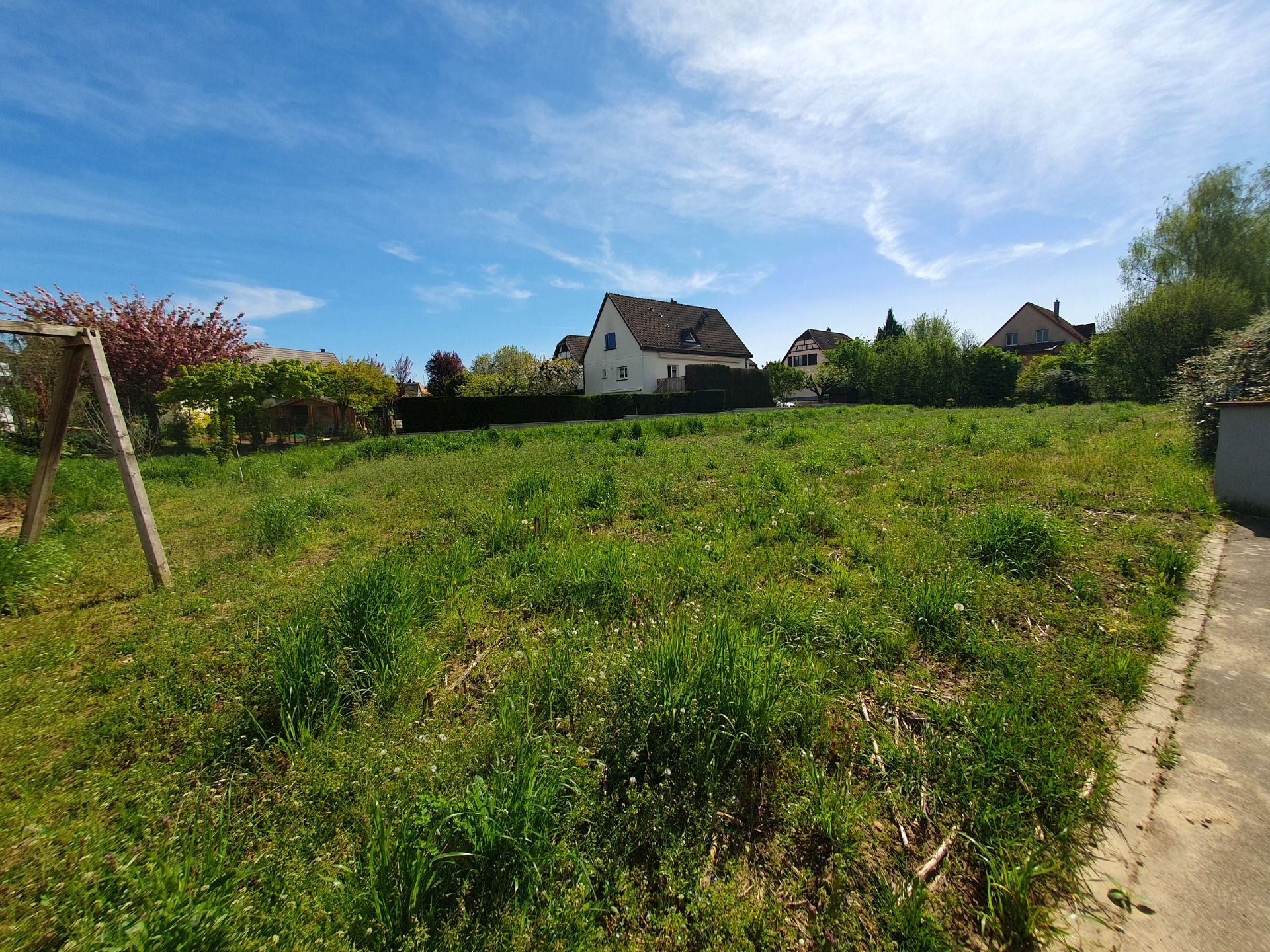 Terrain