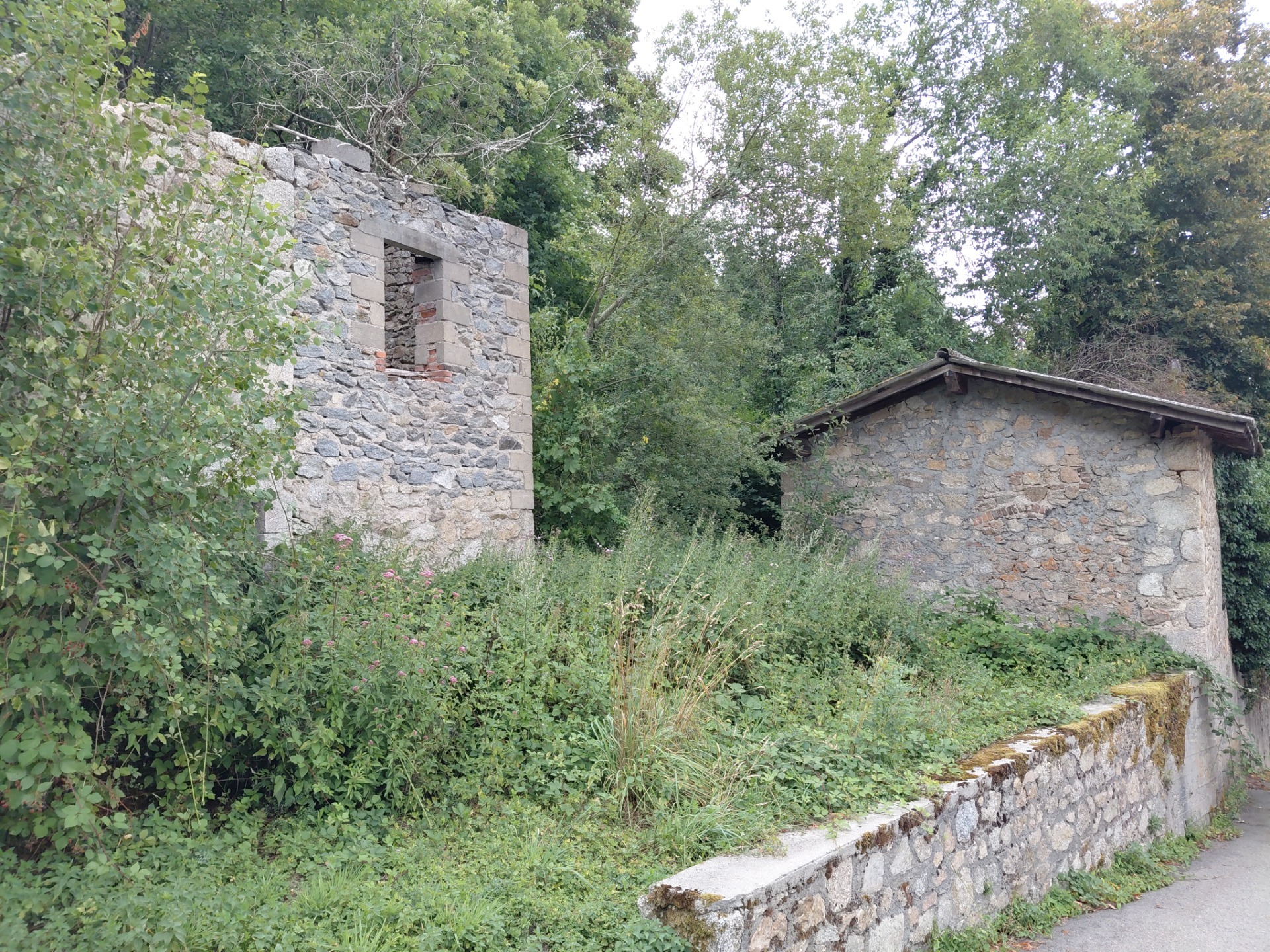Terrain