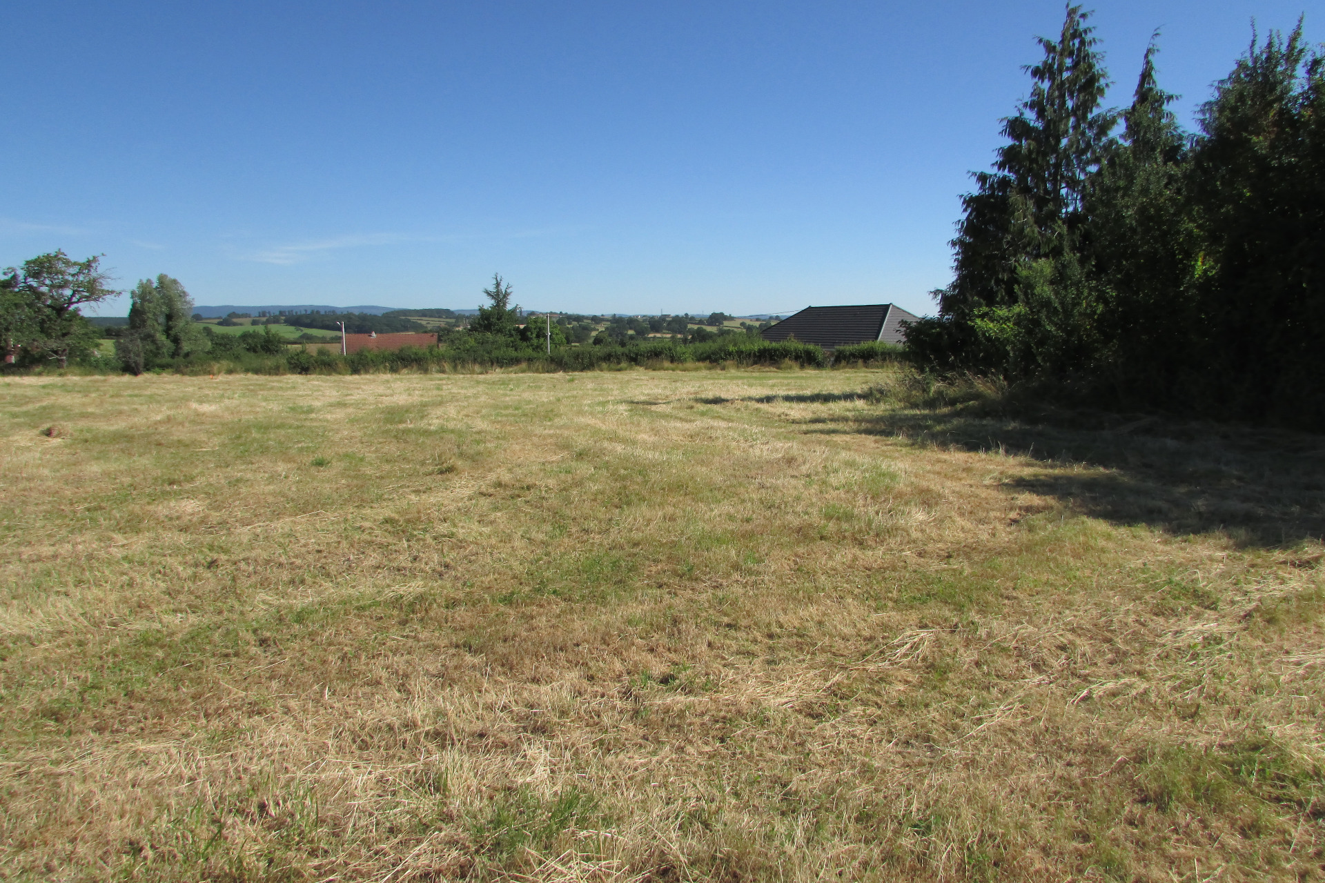 Terrain