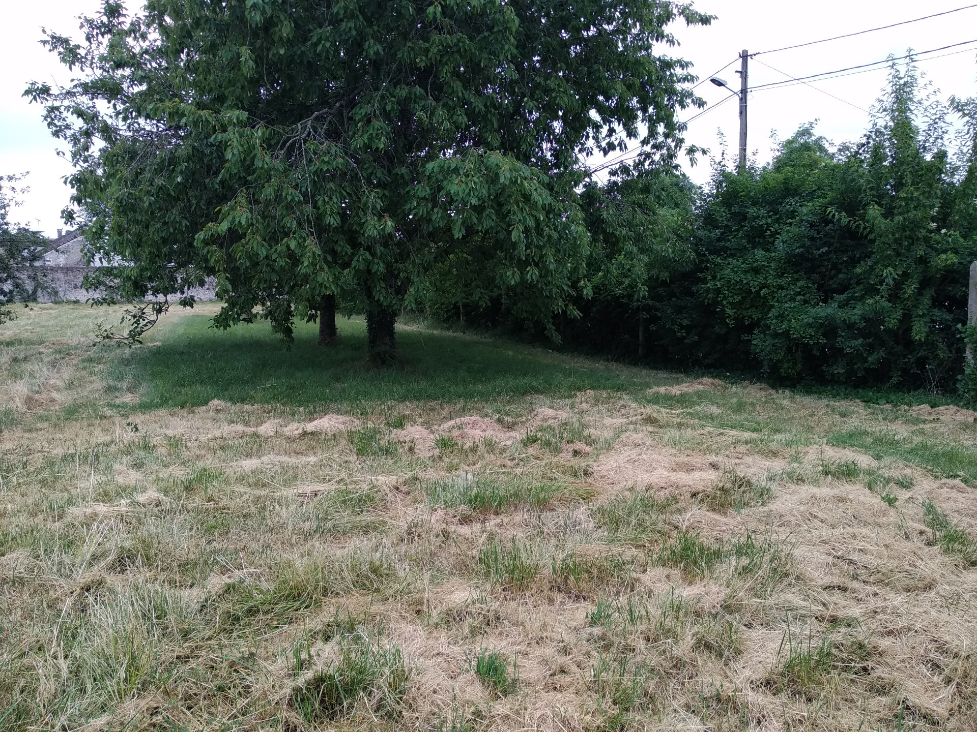 Terrain