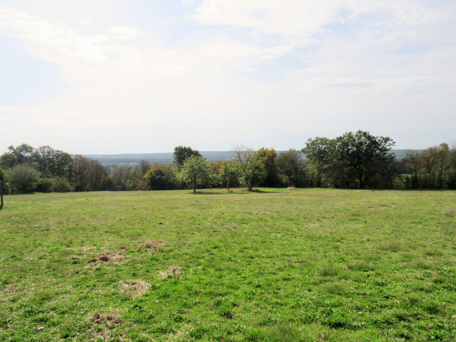 Terrain