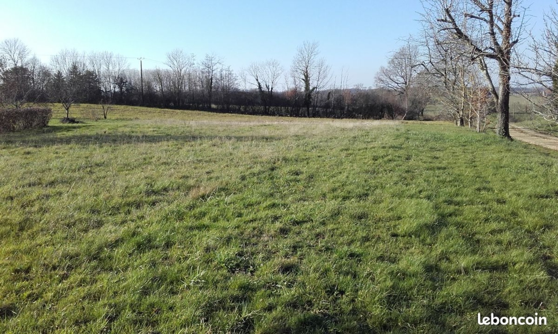 Terrain