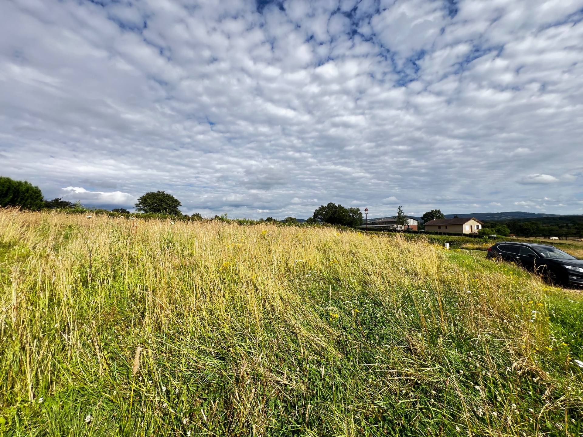 Terrain