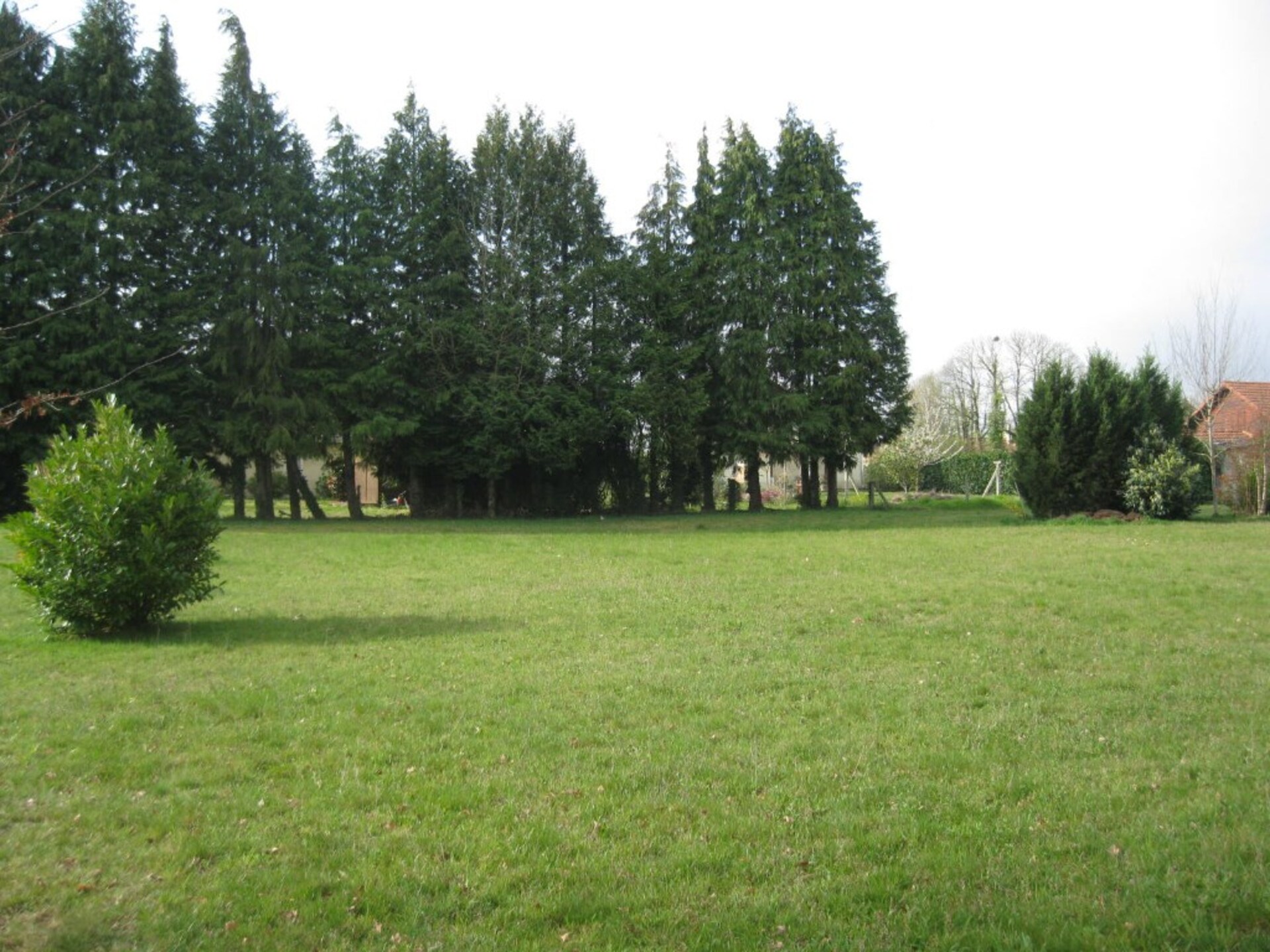 Terrain