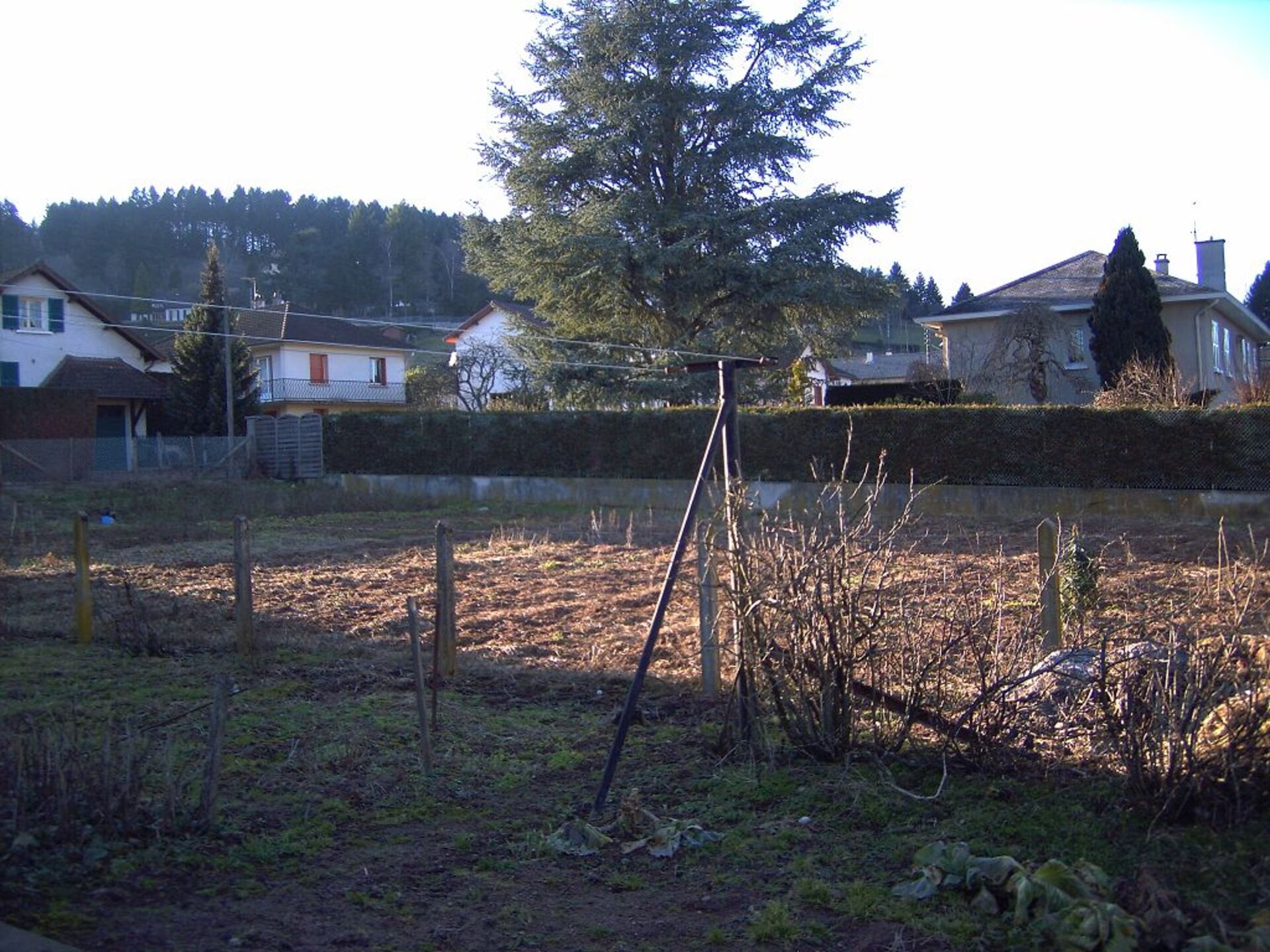 Terrain
