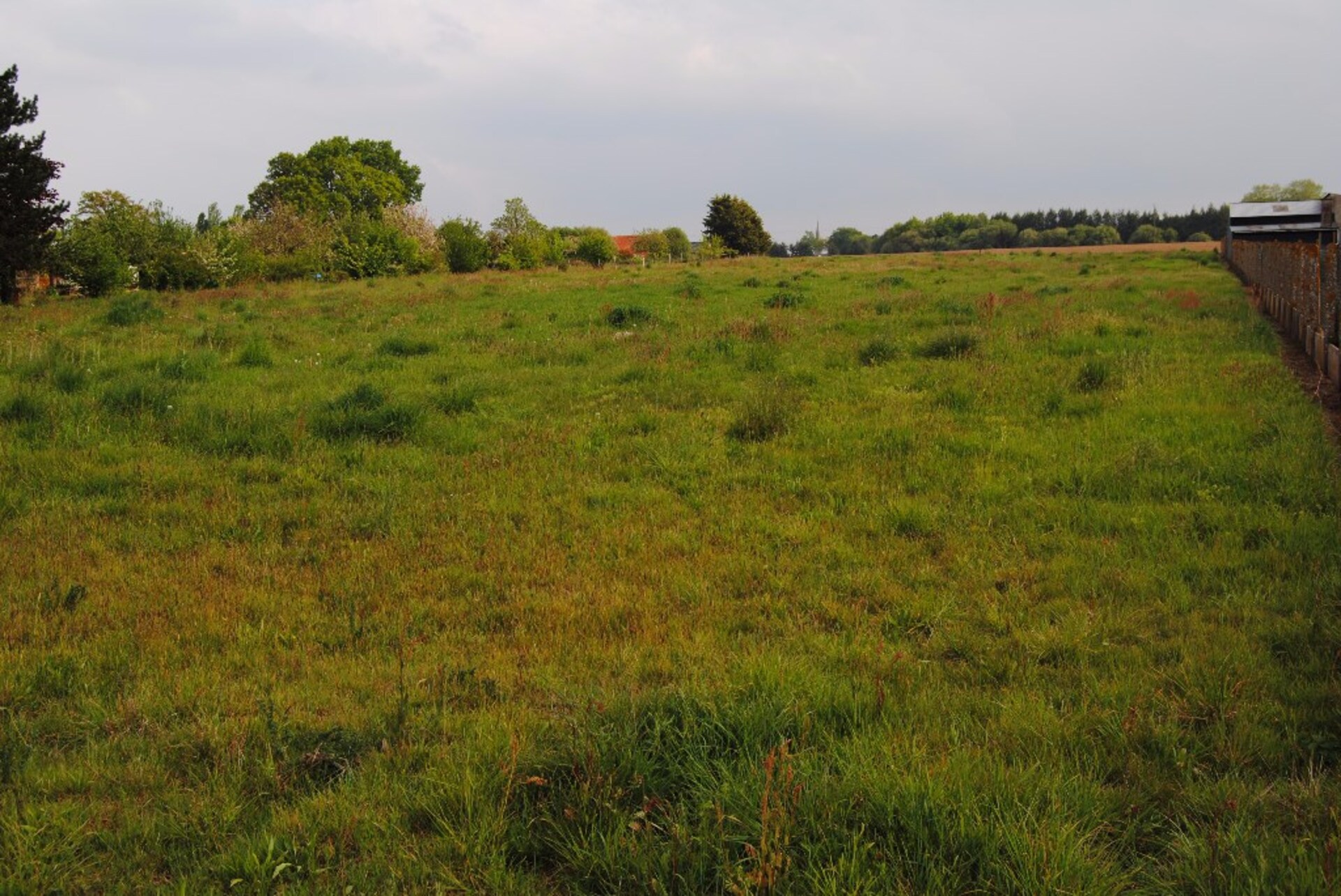 Terrain