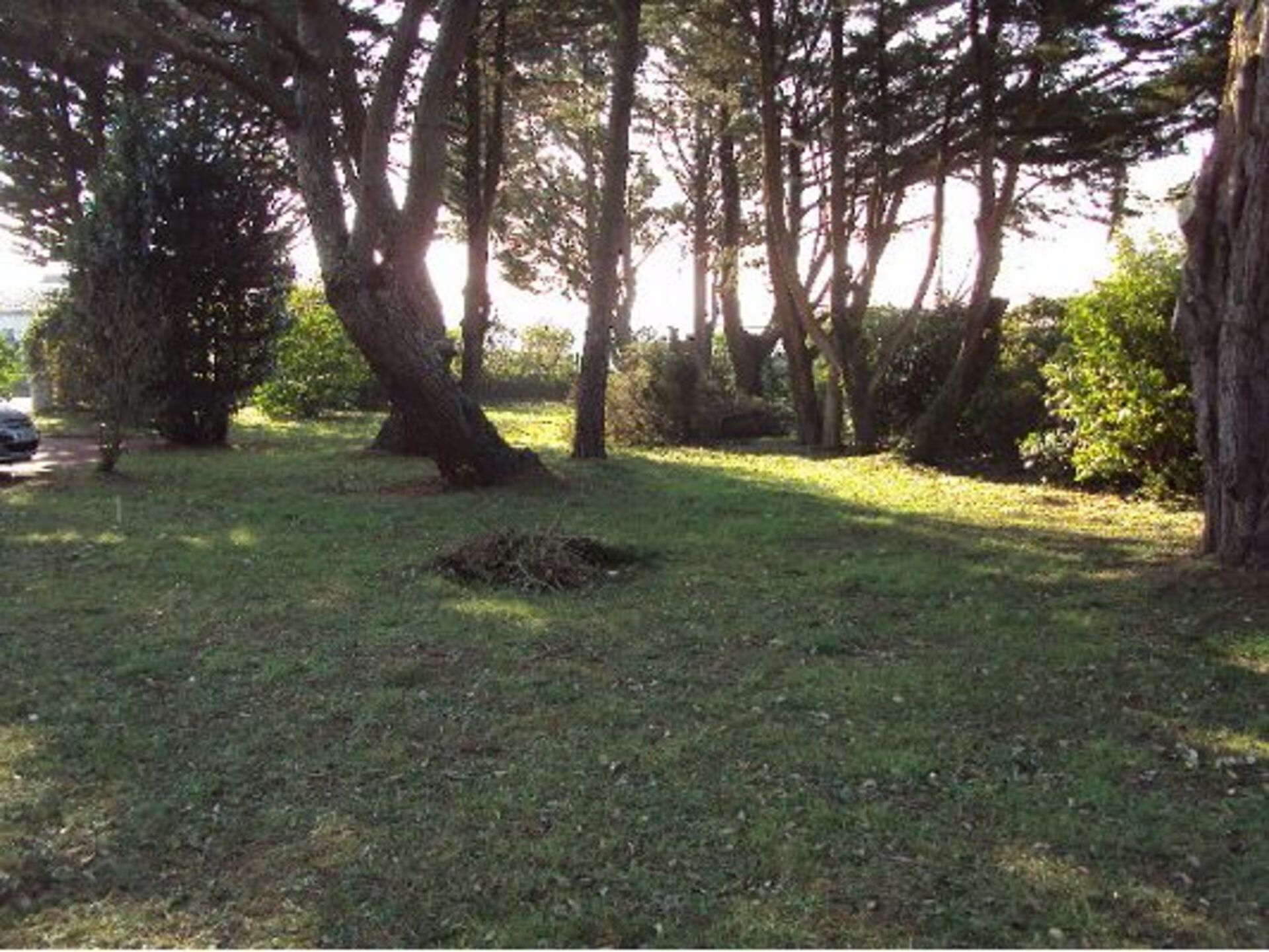 Terrain
