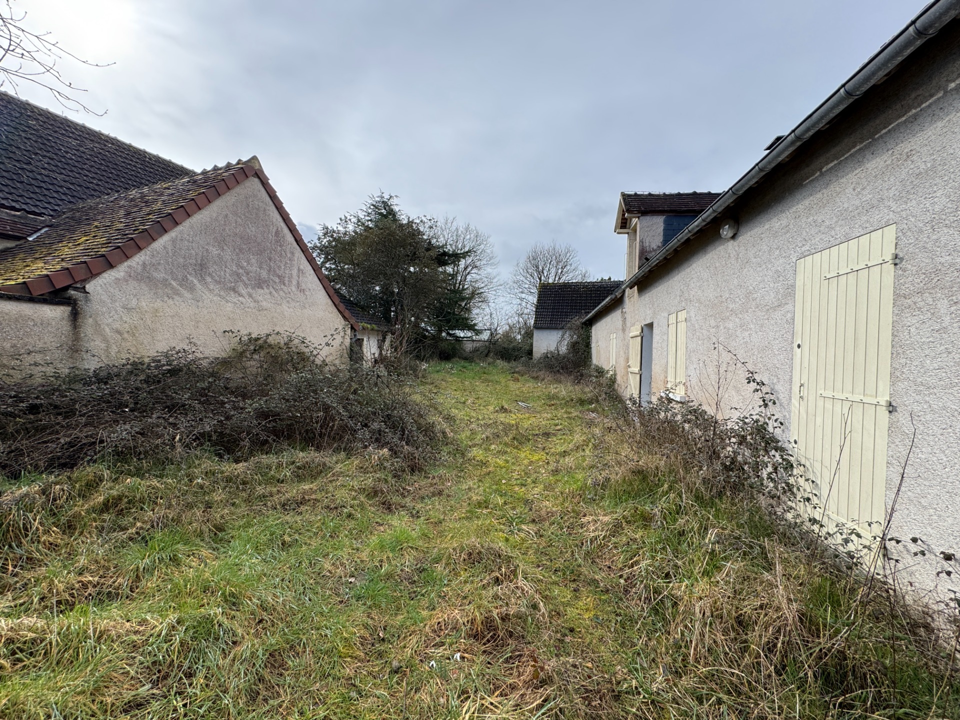 Maison