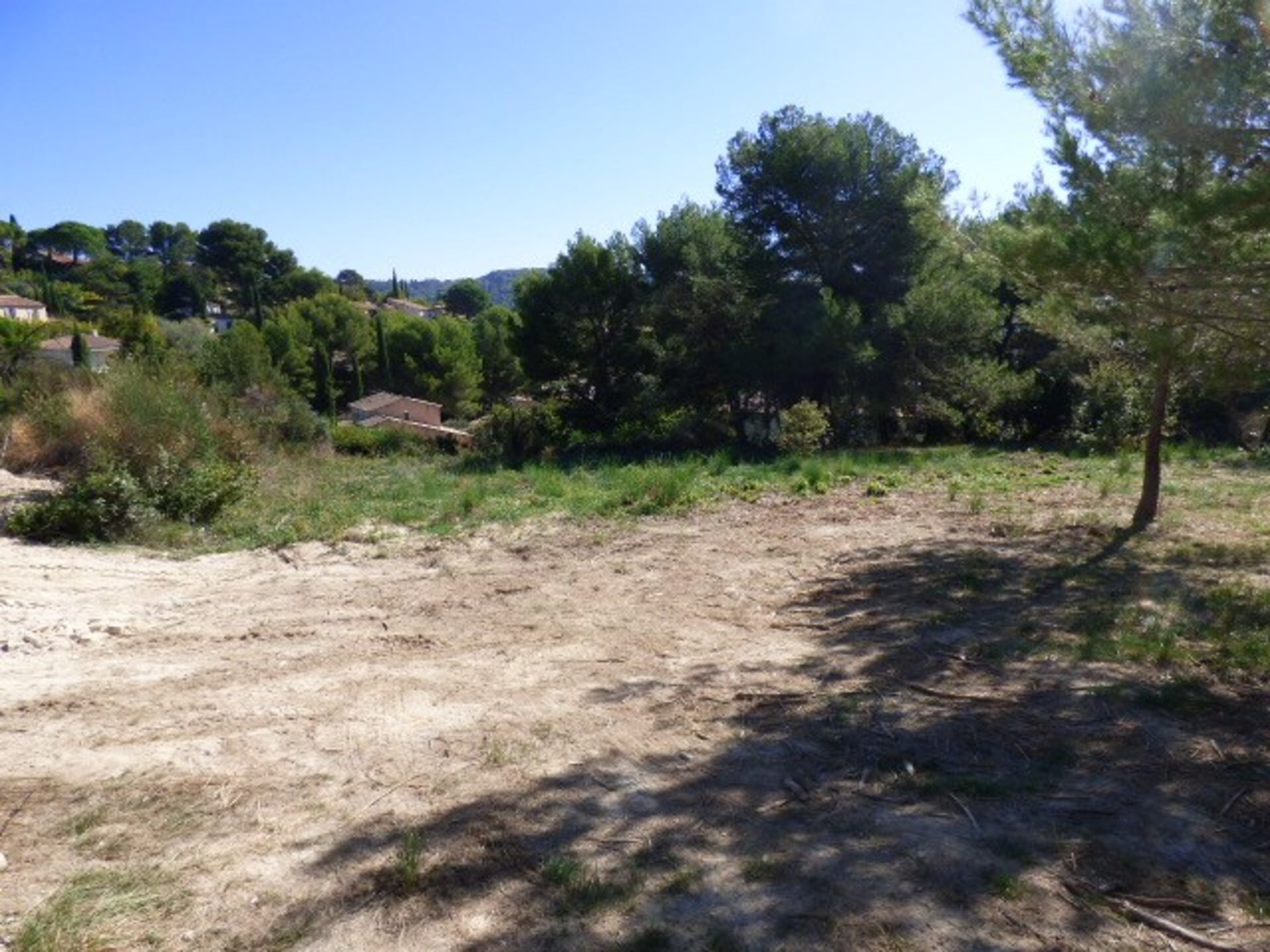 Terrain