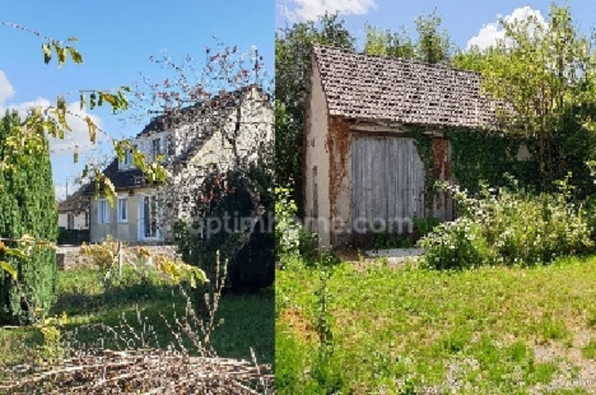 Maison