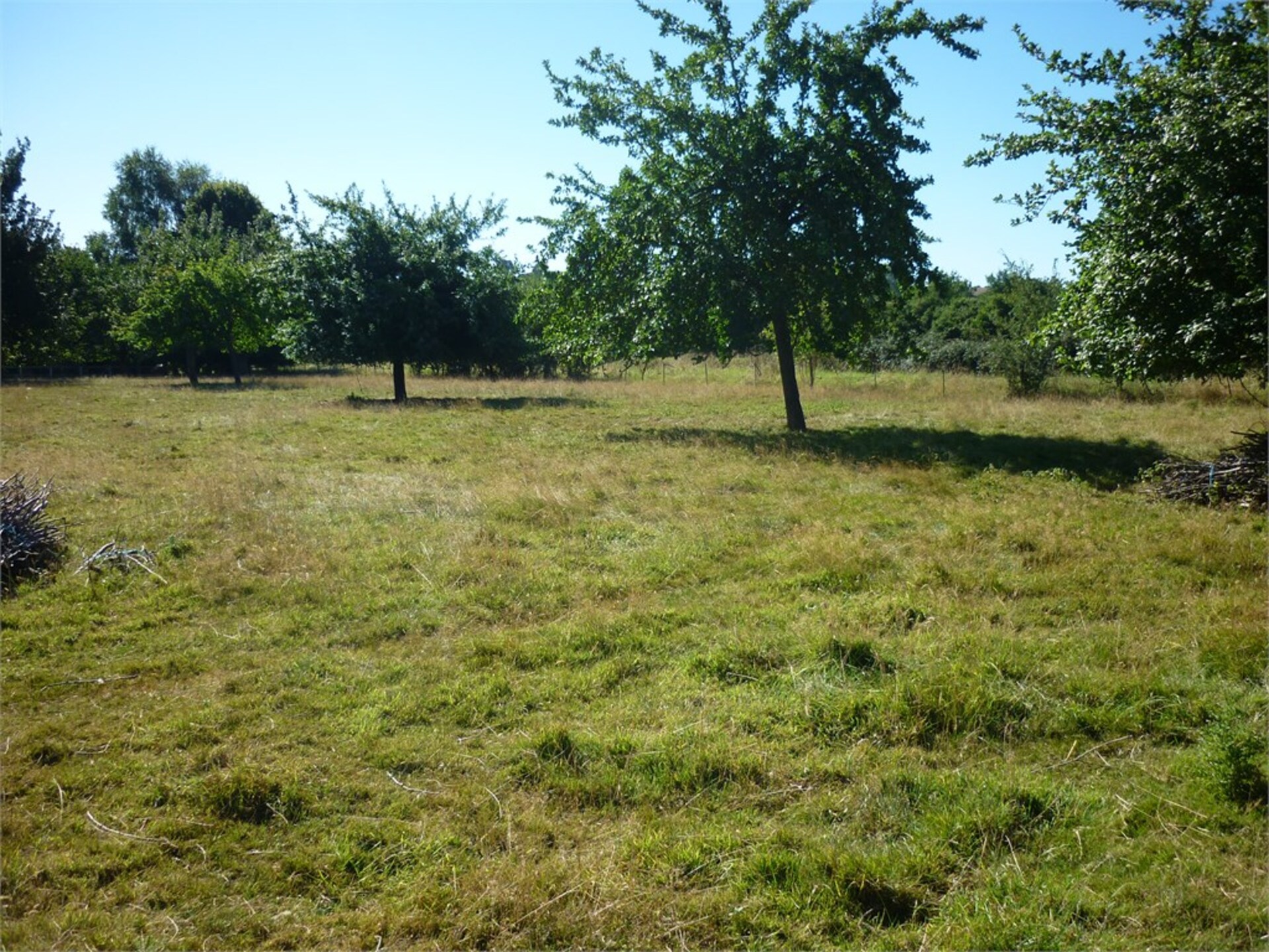 Terrain