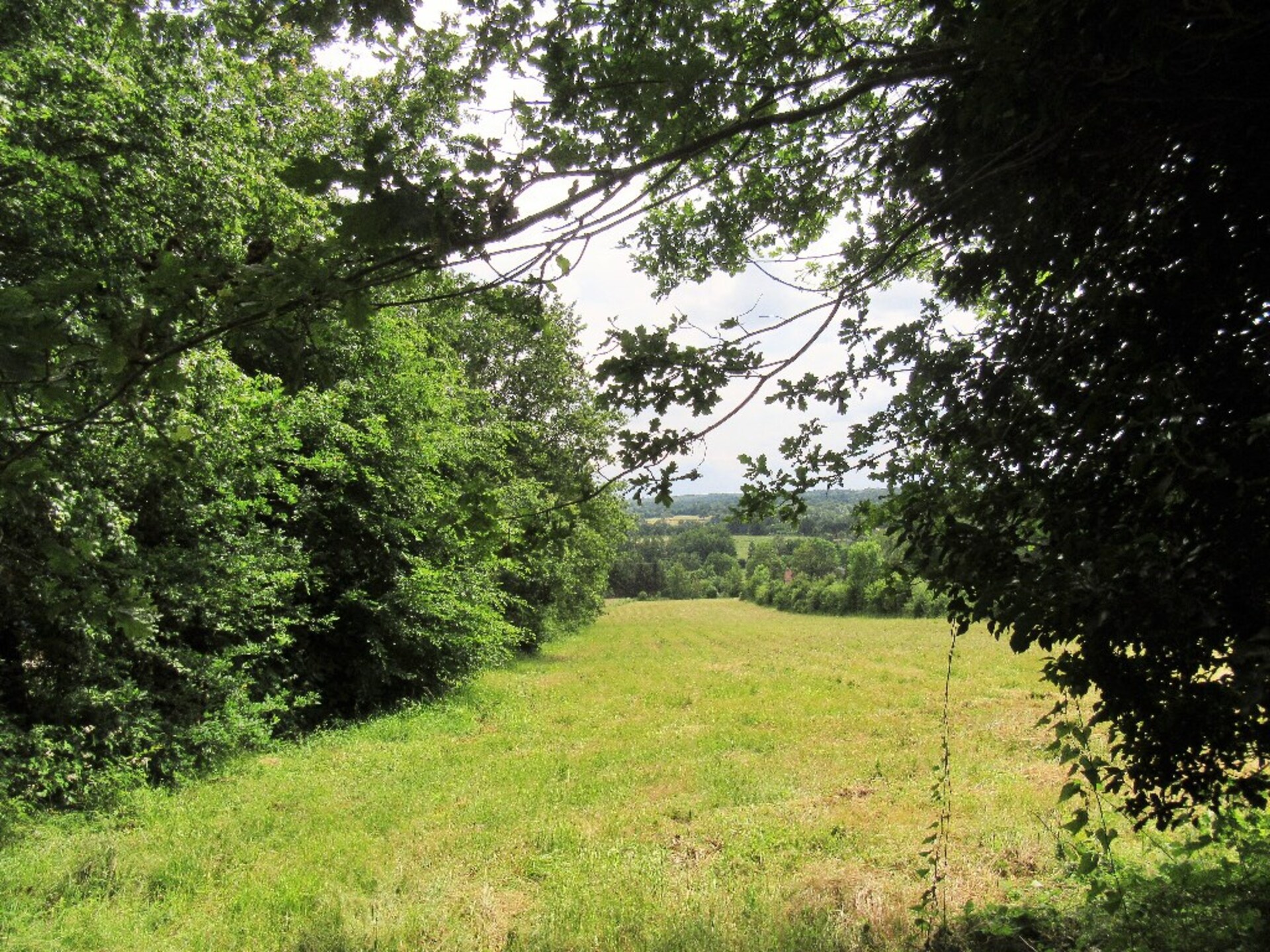 Terrain