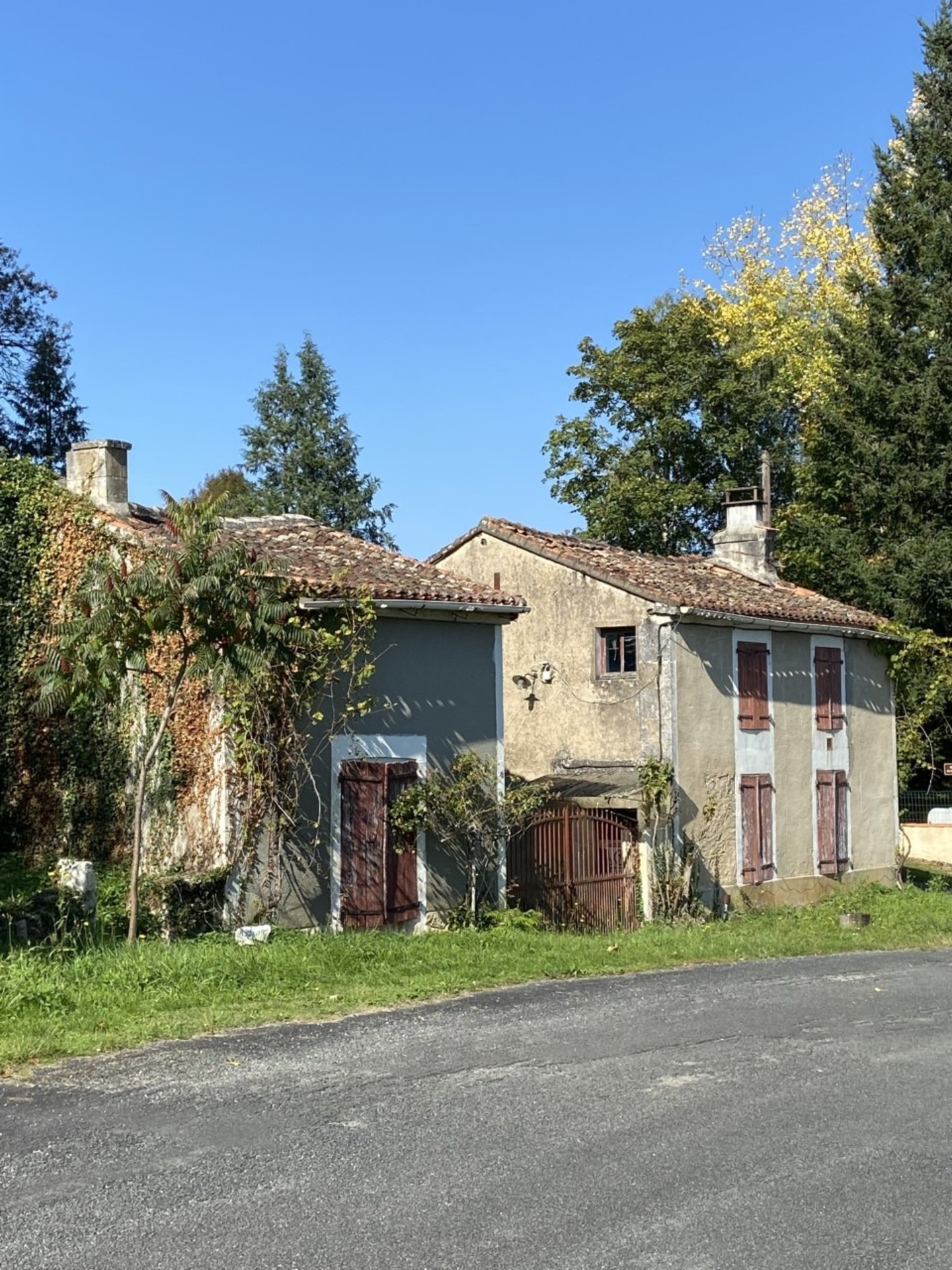 Maison