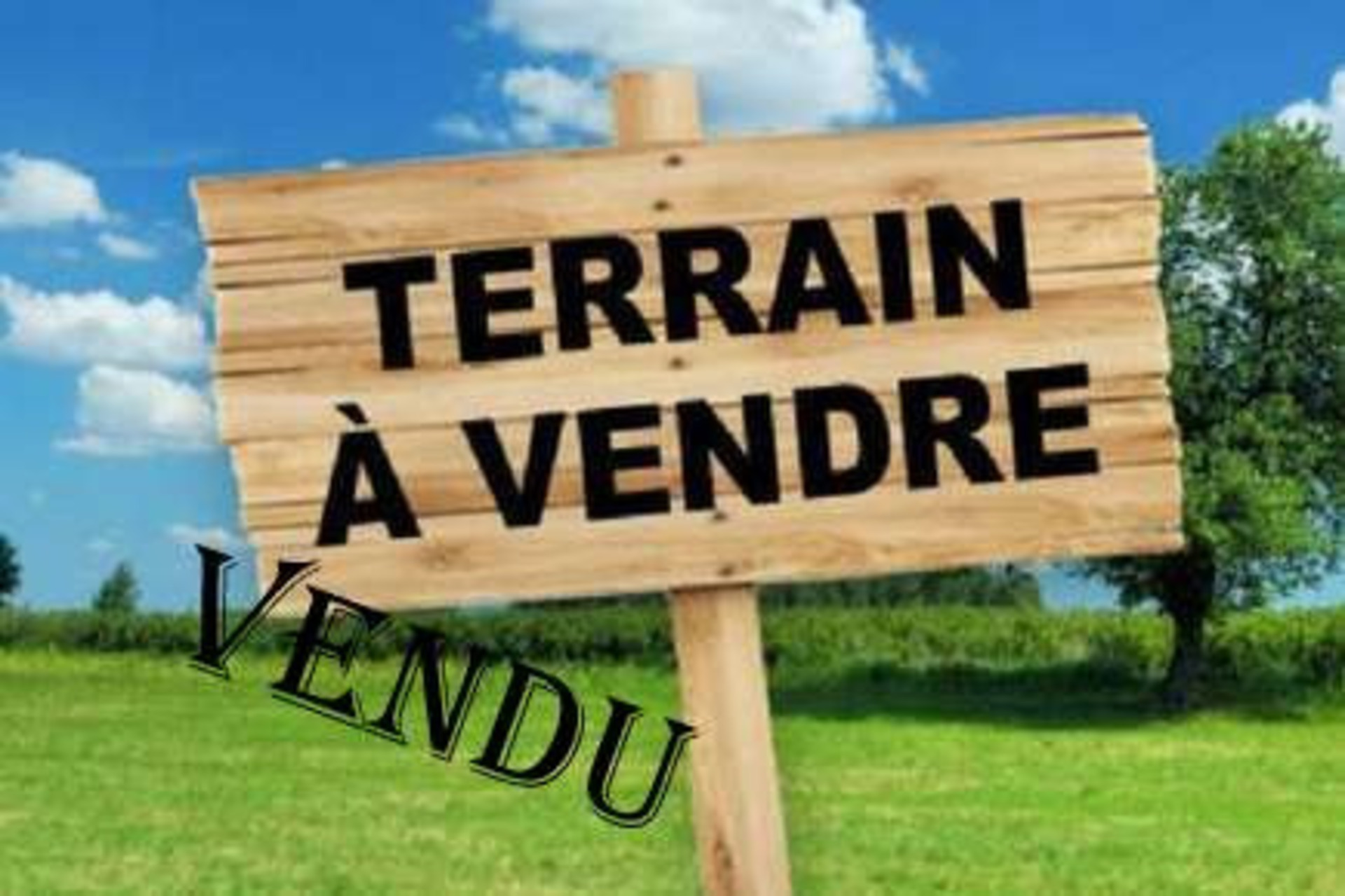 Terrain