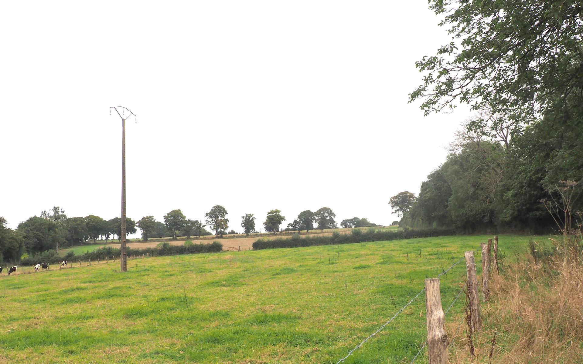 Terrain