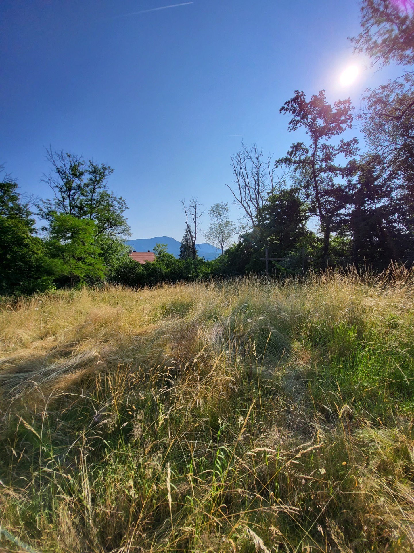 Terrain