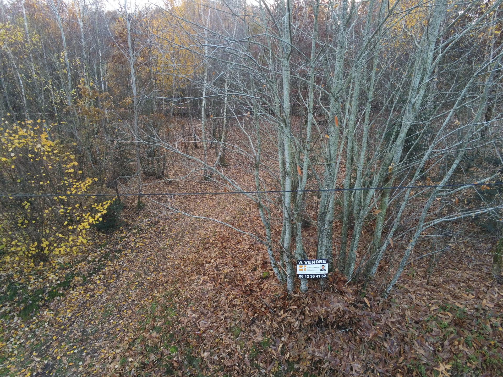 Terrain