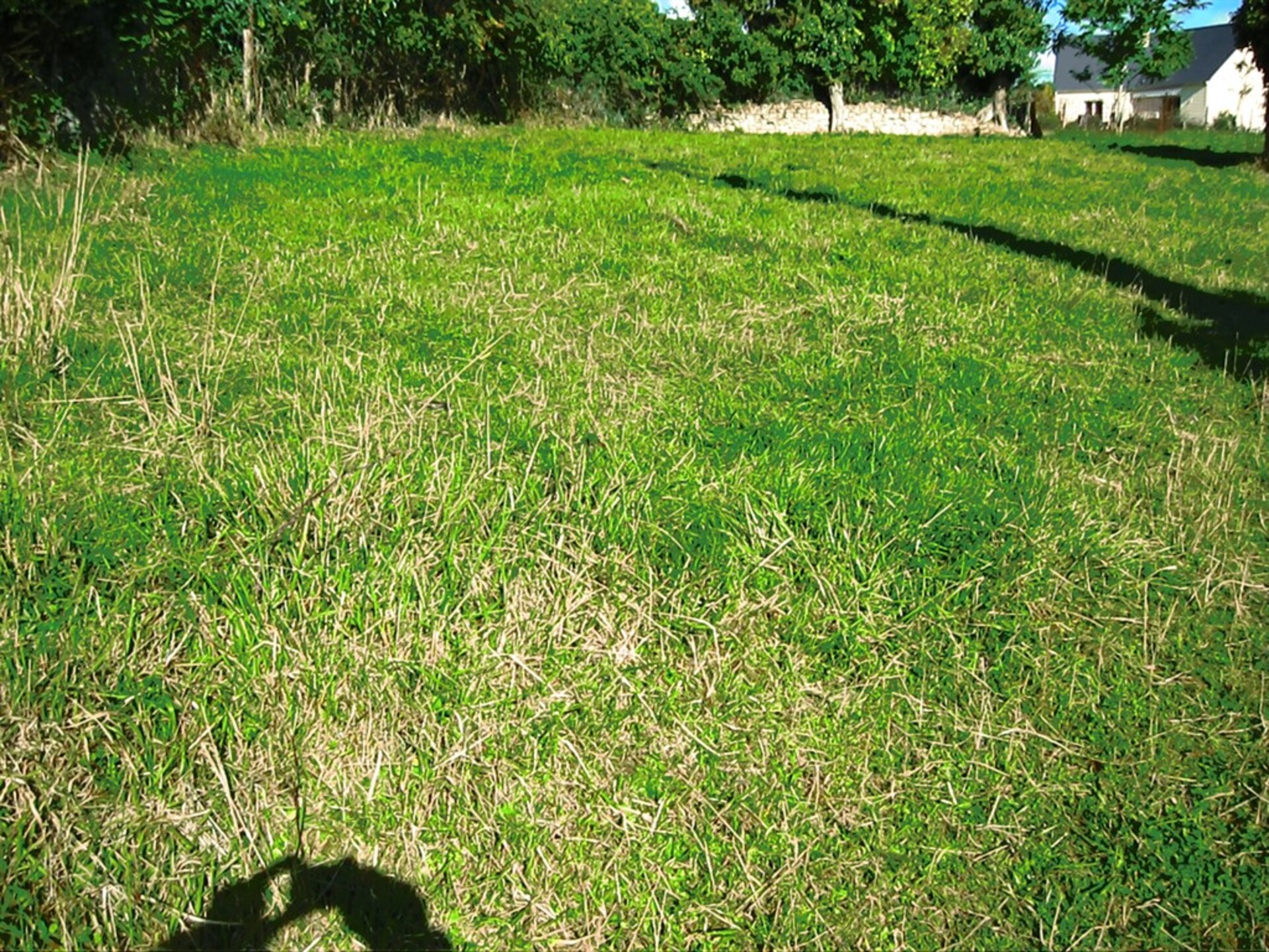 Terrain
