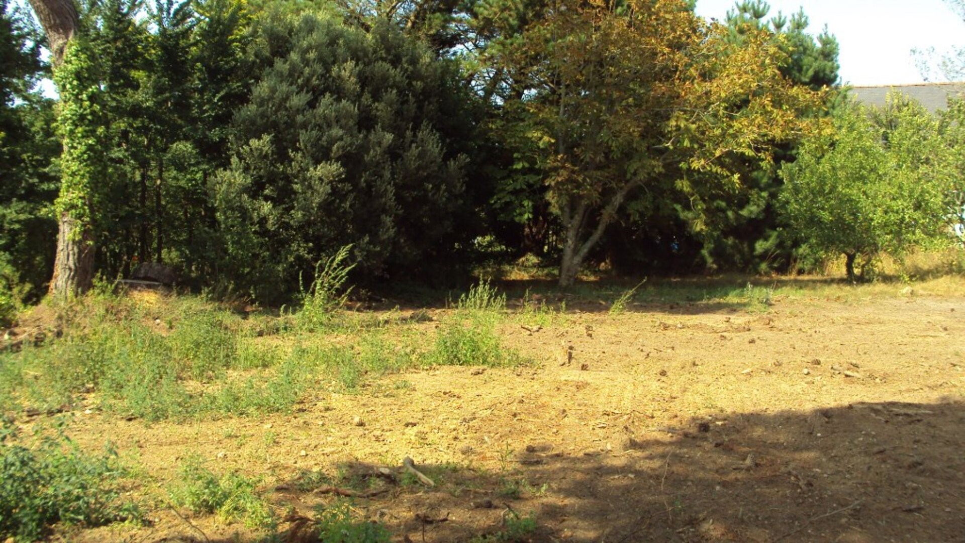 Terrain